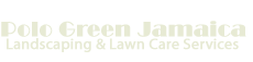 Polo Green Landscaping and Lawncare Services